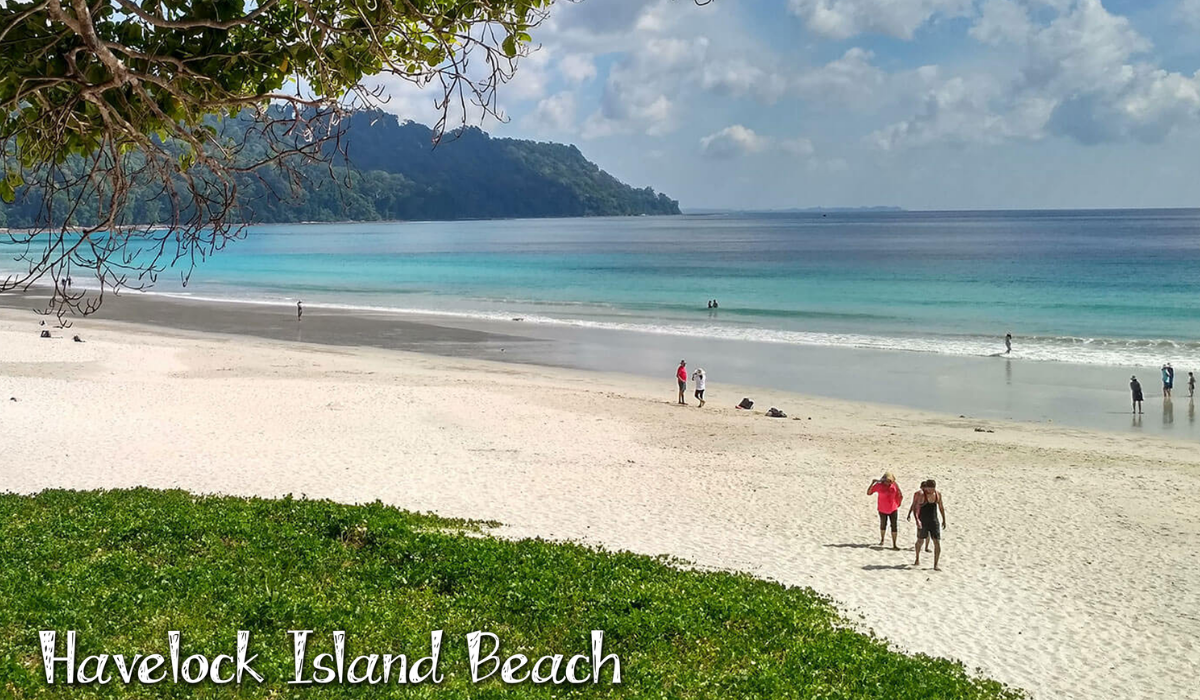 andaman & nicabar gallery imgs (2)