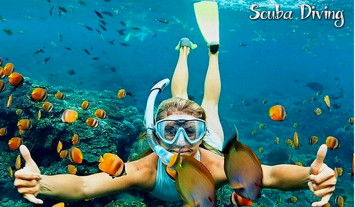 andaman & nicabar gallery imgs (5)