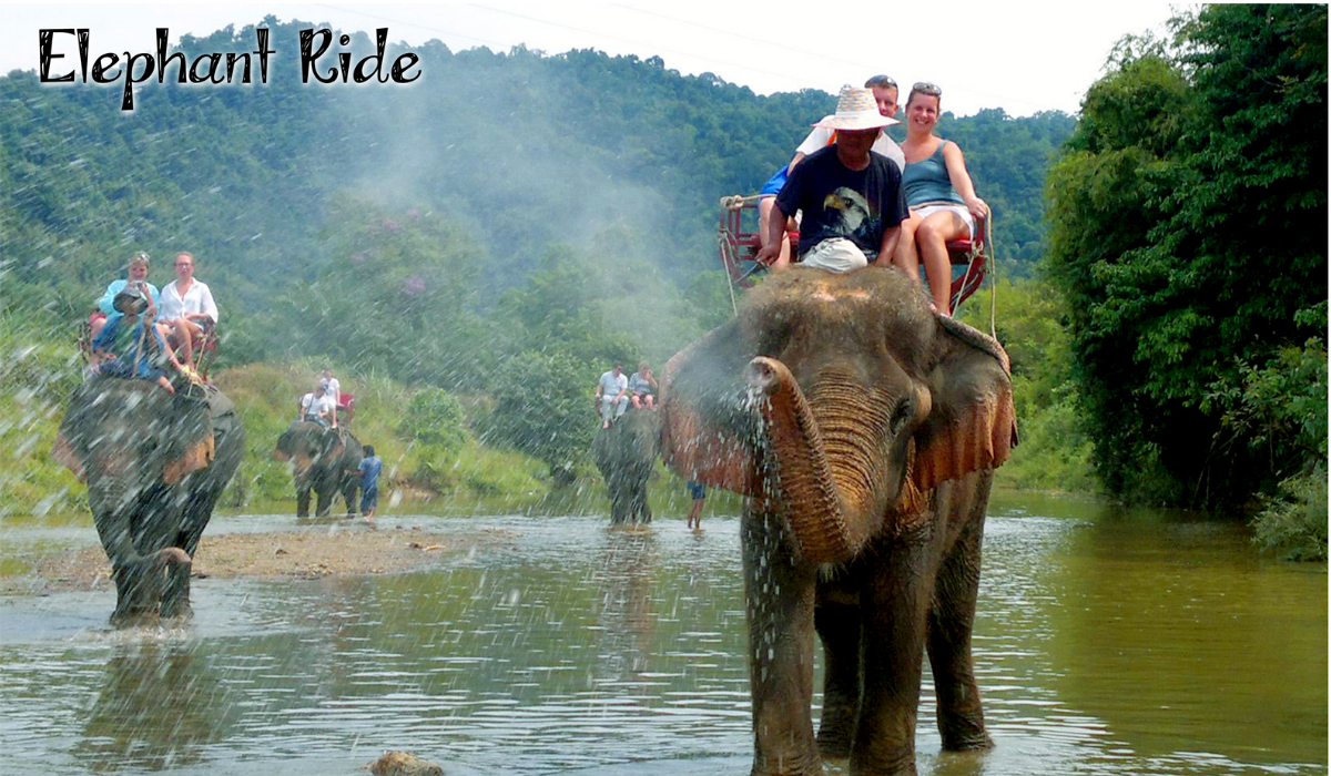 andaman & nicabar gallery imgs (6)