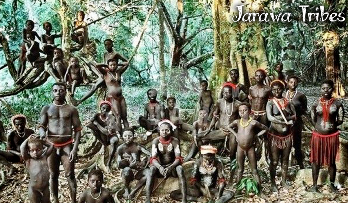 andaman & nicabar gallery imgs (7)