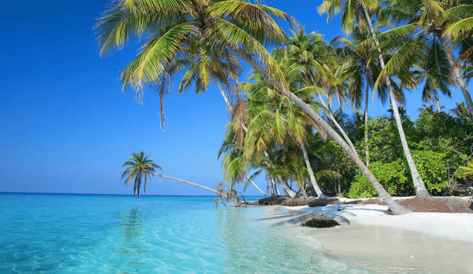 maldives images (3)
