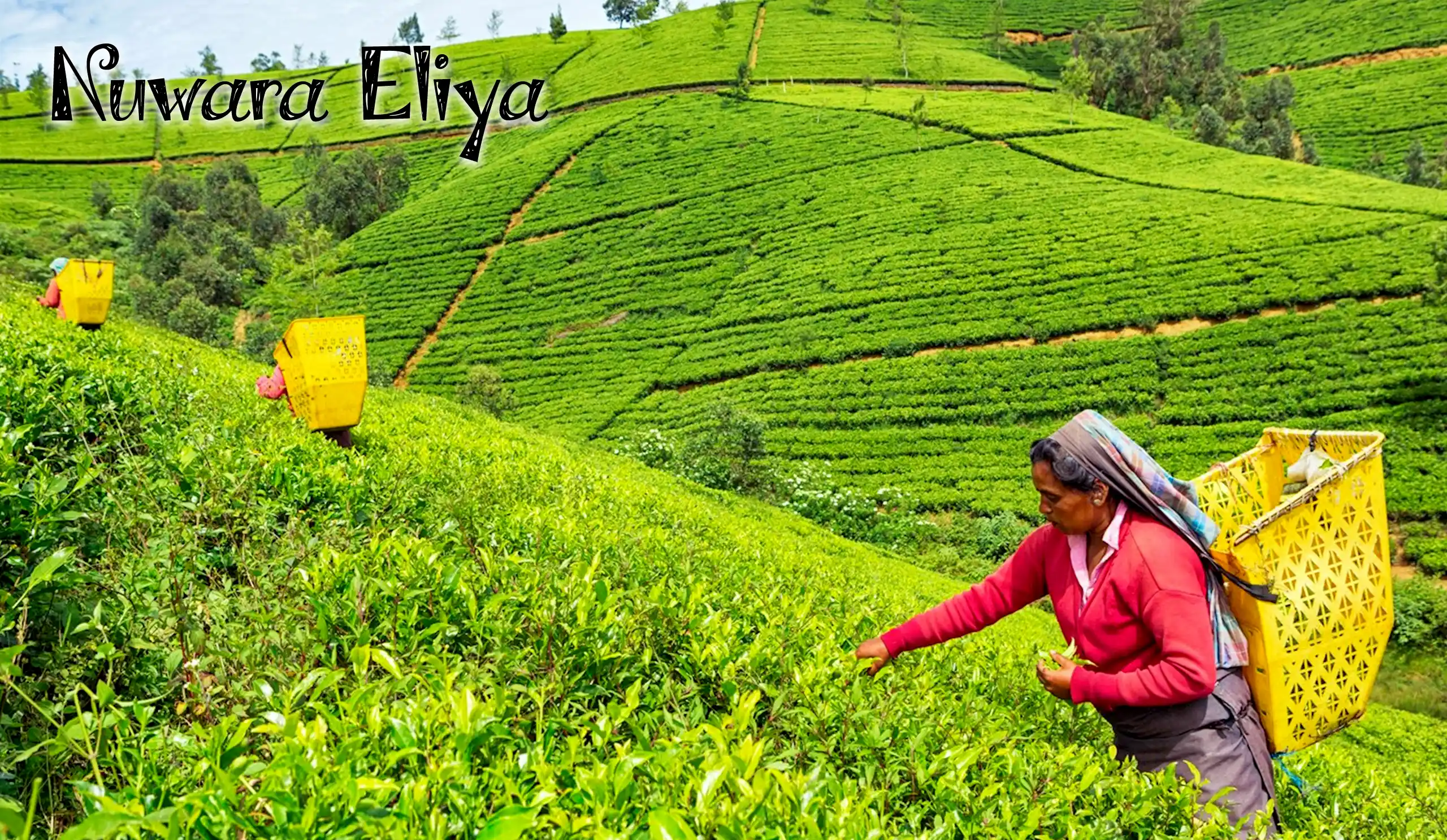 sirlanka_9