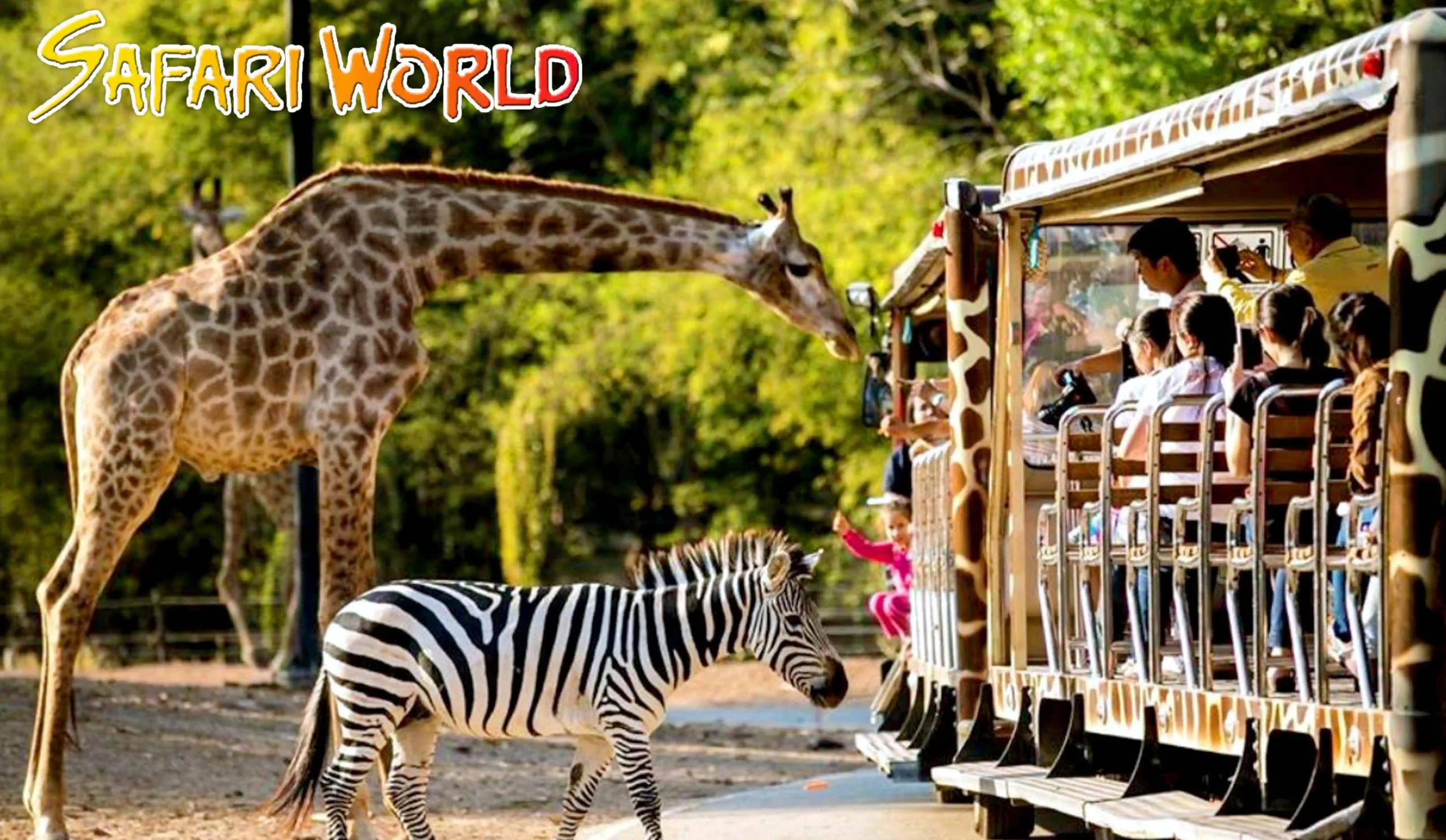 thailand_gallery_carousel_img1 (8)